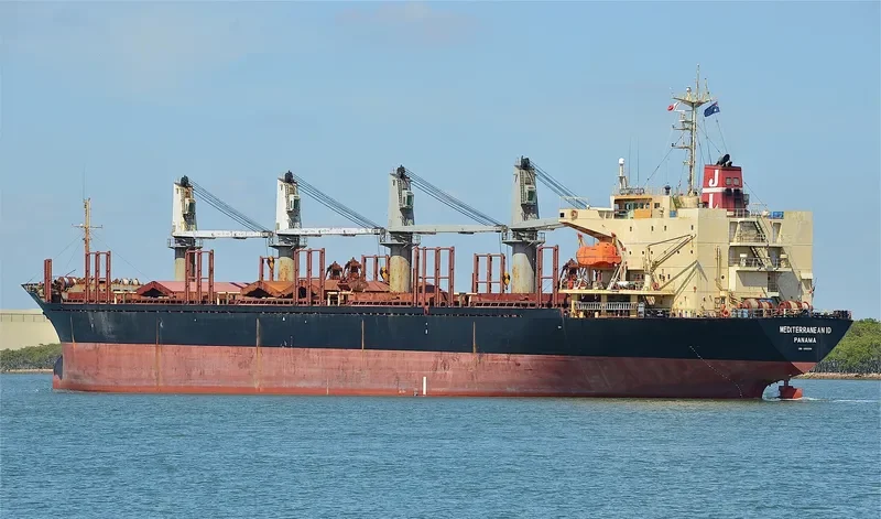 RUN FU 1 Bulk Carrier IMO 9104196