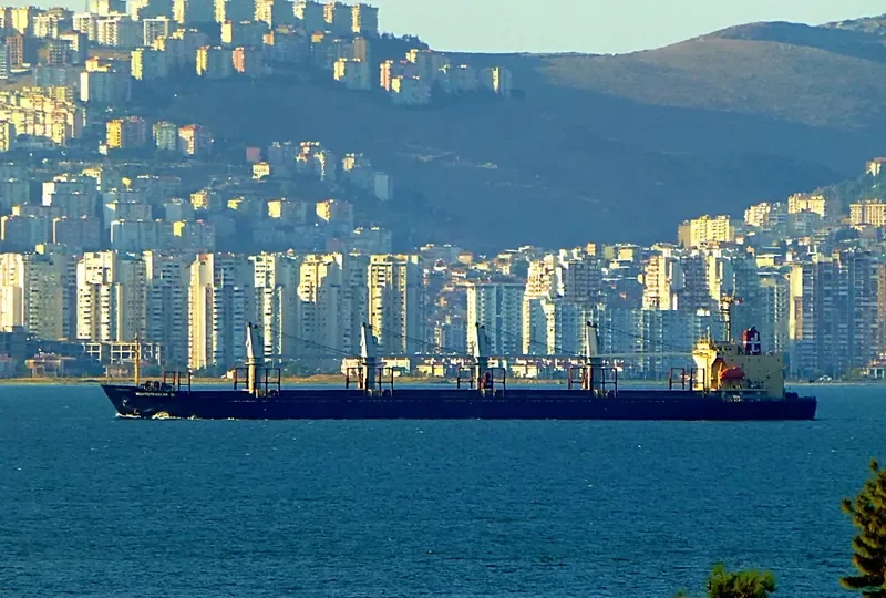 RUN FU 1 Bulk Carrier IMO 9104196 photo 9