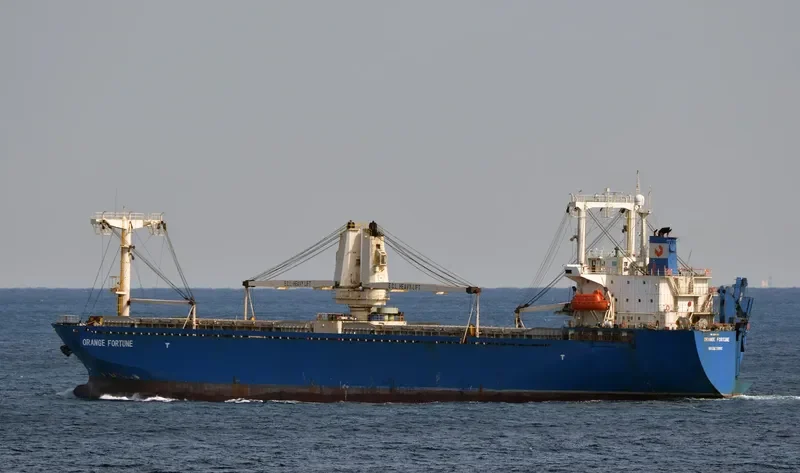 ORANGE FORTUNE General Cargo IMO 9104249