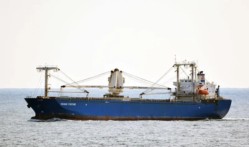 ORANGE FORTUNE General Cargo IMO 9104249 photo 2