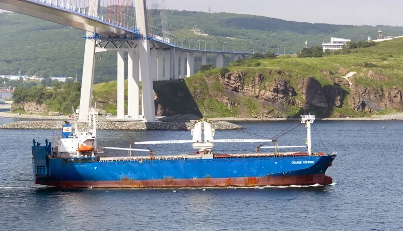 ORANGE FORTUNE General Cargo IMO 9104249 photo 3
