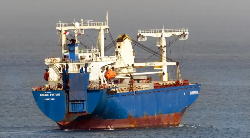 ORANGE FORTUNE General Cargo IMO 9104249 photo 4