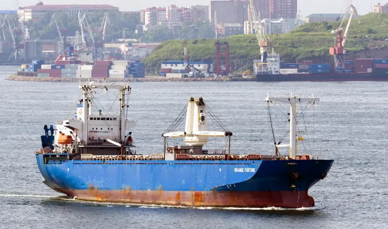ORANGE FORTUNE General Cargo IMO 9104249 photo 5