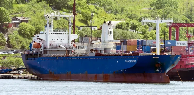 ORANGE FORTUNE General Cargo IMO 9104249 photo 7
