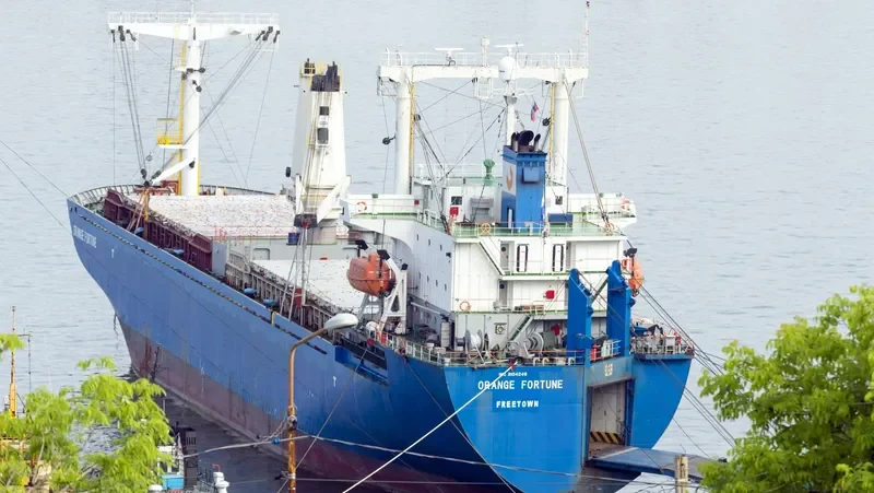 ORANGE FORTUNE General Cargo IMO 9104249 photo 8