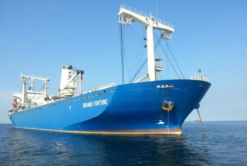 ORANGE FORTUNE General Cargo IMO 9104249 photo 10