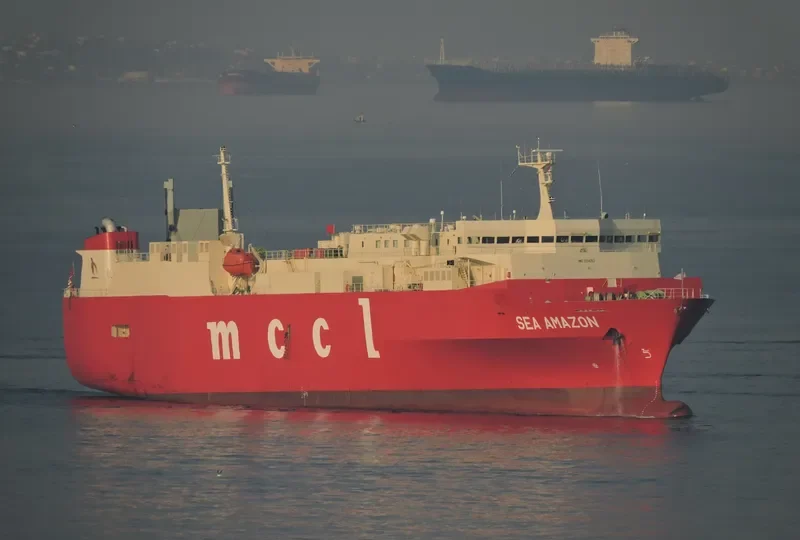 SEA AMAZON General Cargo IMO 9104263