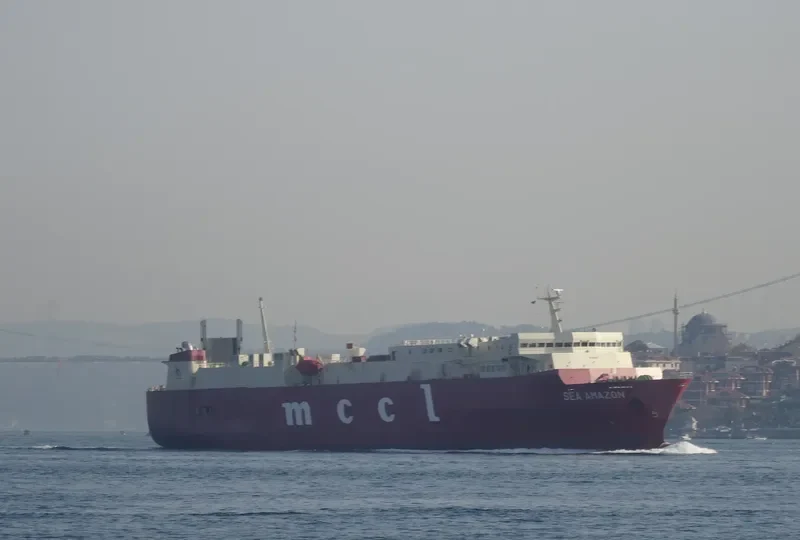 SEA AMAZON General Cargo IMO 9104263 photo 9