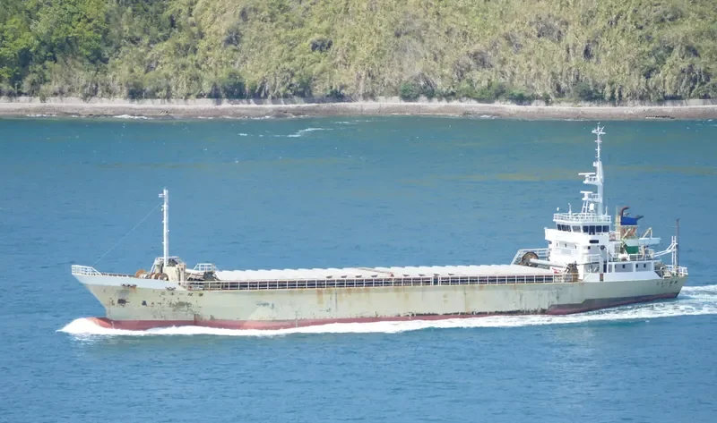 NEW FUTABA General Cargo IMO 9104378 photo 3