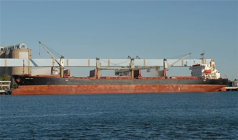 BASHUNDHARA 6 Bulk Carrier IMO 9104407