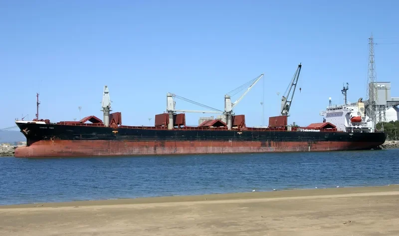 BASHUNDHARA 6 Bulk Carrier IMO 9104407 photo 2