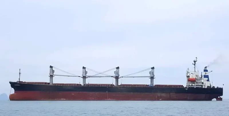 BASHUNDHARA 6 Bulk Carrier IMO 9104407 photo 3