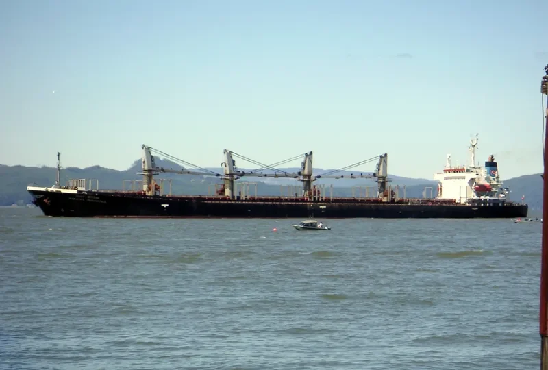 SUKHOR ALKHALEEJ Bulk Carrier IMO 9104419 photo 8