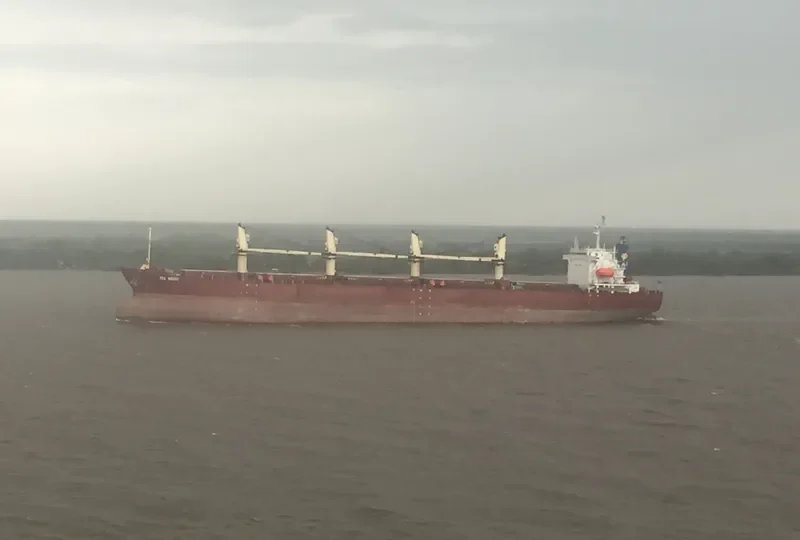 SEA MERAY Bulk Carrier IMO 9104421