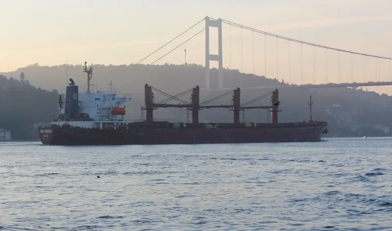 SEA MERAY Bulk Carrier IMO 9104421 photo 3