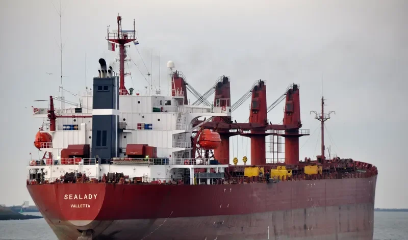 SEA MERAY Bulk Carrier IMO 9104421 photo 7