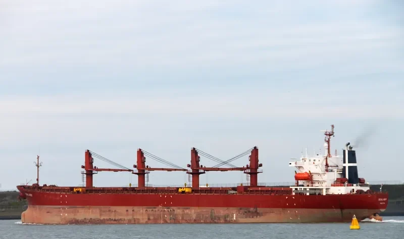 SEA MERAY Bulk Carrier IMO 9104421 photo 9