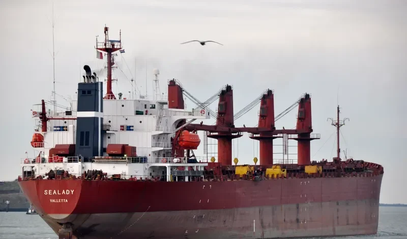 SEA MERAY Bulk Carrier IMO 9104421 photo 10