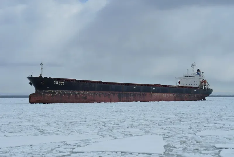 GNS HOPE Bulk Carrier IMO 9104457 photo 2
