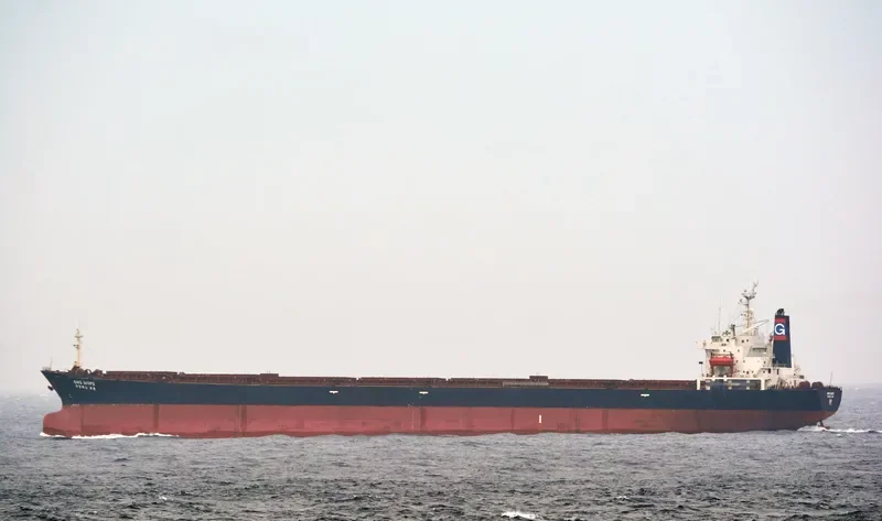 GNS HOPE Bulk Carrier IMO 9104457 photo 3