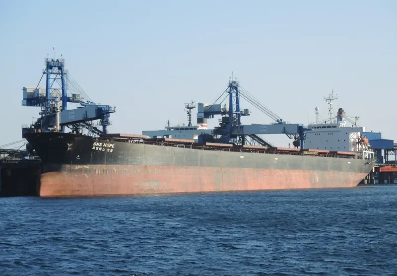 GNS HOPE Bulk Carrier IMO 9104457 photo 5