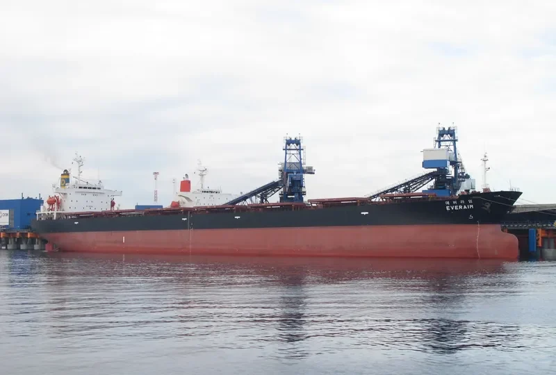 GNS HOPE Bulk Carrier IMO 9104457 photo 7