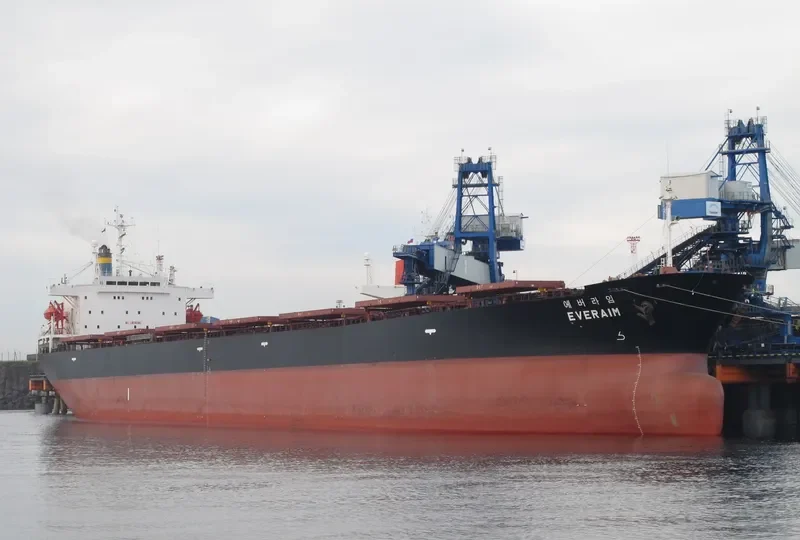 GNS HOPE Bulk Carrier IMO 9104457 photo 8