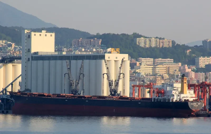 GNS HOPE Bulk Carrier IMO 9104457 photo 10
