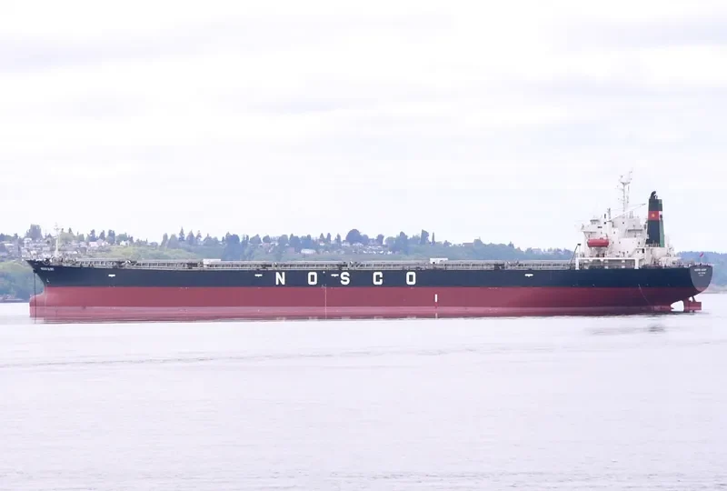 ORIENTAL GLORY Bulk Carrier IMO 9104469 photo 2