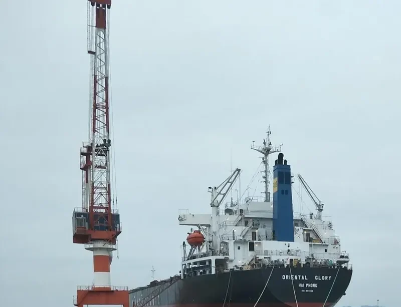 ORIENTAL GLORY Bulk Carrier IMO 9104469 photo 3