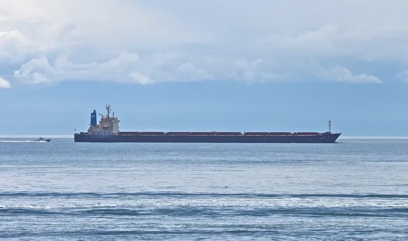 F.STAR Bulk Carrier IMO 9104471 photo 4