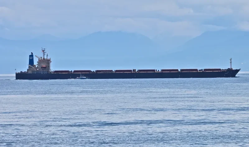 F.STAR Bulk Carrier IMO 9104471 photo 5