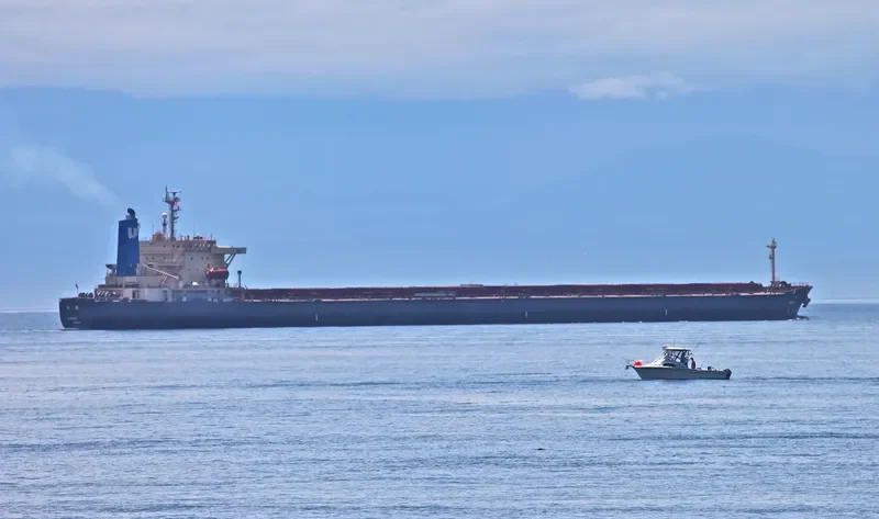 F.STAR Bulk Carrier IMO 9104471 photo 7