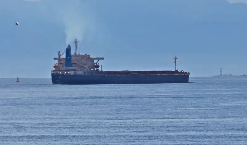 F.STAR Bulk Carrier IMO 9104471 photo 8