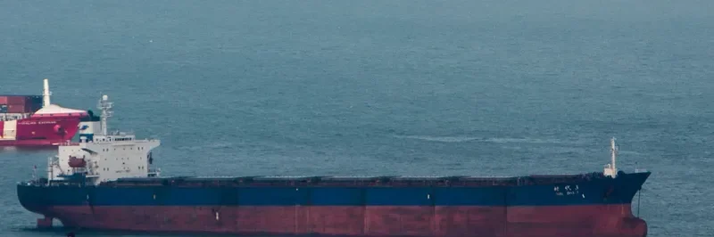 SHI DAI 3 Bulk Carrier IMO 9104548 photo 2