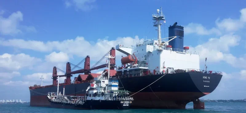 ETERNAL LUCK Bulk Carrier IMO 9104550 photo 4