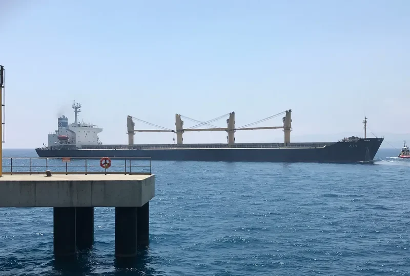 ALI M Bulk Carrier IMO 9104562 photo 2