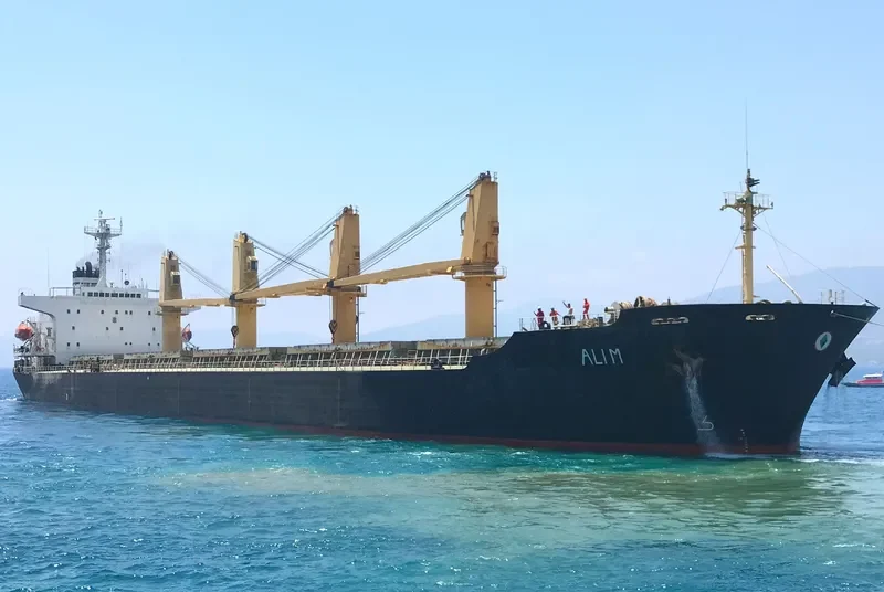 ALI M Bulk Carrier IMO 9104562 photo 3
