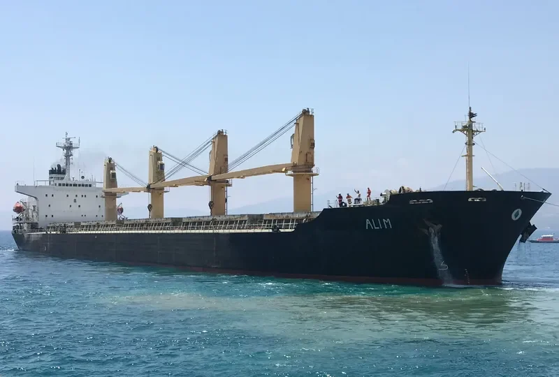 ALI M Bulk Carrier IMO 9104562 photo 4