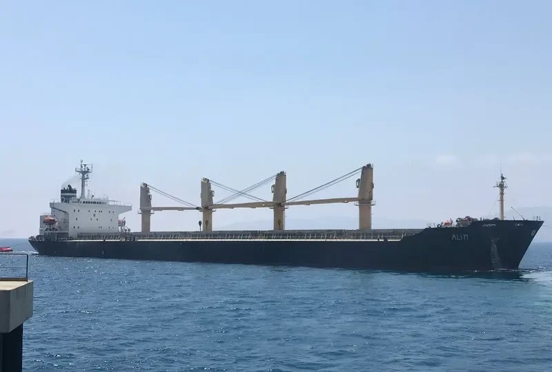 ALI M Bulk Carrier IMO 9104562 photo 5