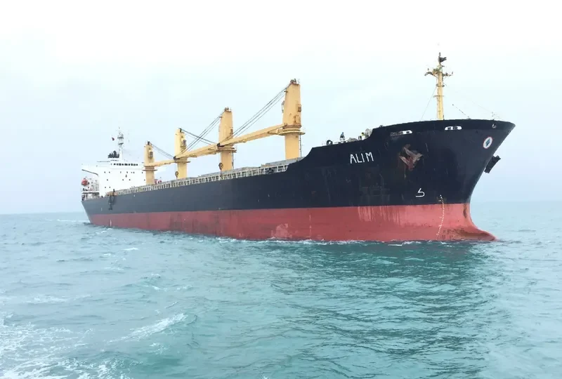 ALI M Bulk Carrier IMO 9104562 photo 6
