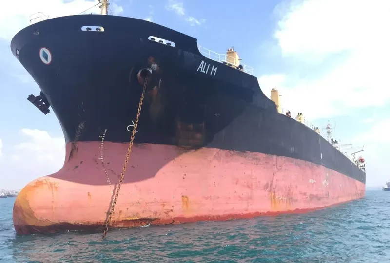 ALI M Bulk Carrier IMO 9104562 photo 7
