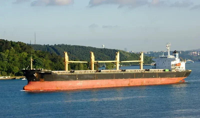 ALI M Bulk Carrier IMO 9104562 photo 8