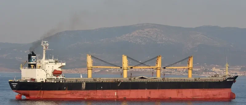 ALI M Bulk Carrier IMO 9104562 photo 9