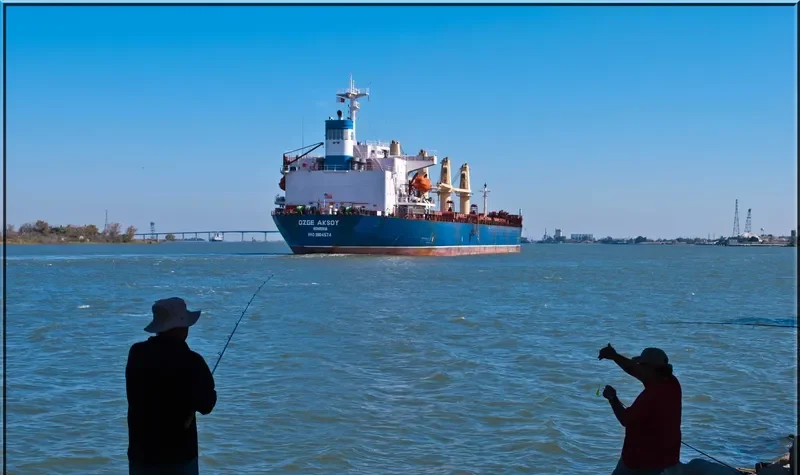 KAVKAZ V Bulk Carrier IMO 9104574 photo 3