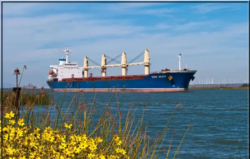 KAVKAZ V Bulk Carrier IMO 9104574 photo 6