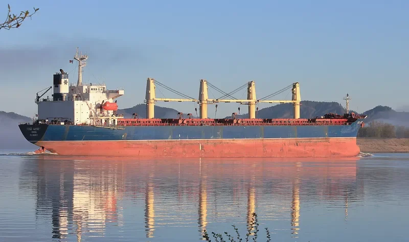 KAVKAZ V Bulk Carrier IMO 9104574 photo 8