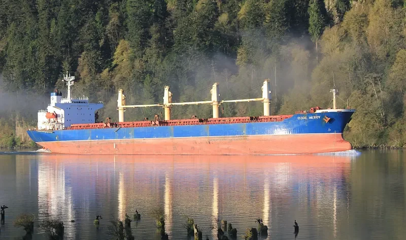 KAVKAZ V Bulk Carrier IMO 9104574 photo 9