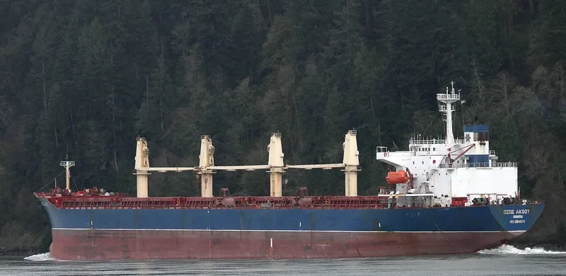 KAVKAZ V Bulk Carrier IMO 9104574 photo 10