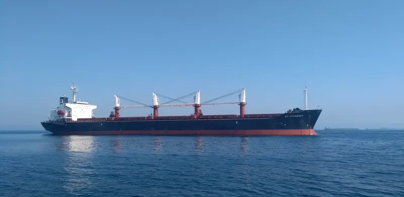 ALBY STORY Bulk Carrier IMO 9104603 photo 2